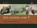 Миниатюра для версии от 15:05, 19 июля 2010