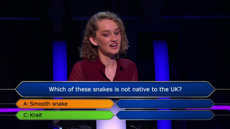 Файл:WWTBAM UK 2024-11-24-03.jpg