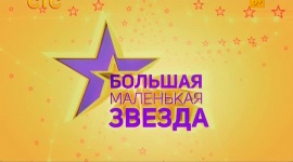 BMZ logo.jpg