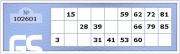 GS-Bingo ticket 2010-2011.jpg